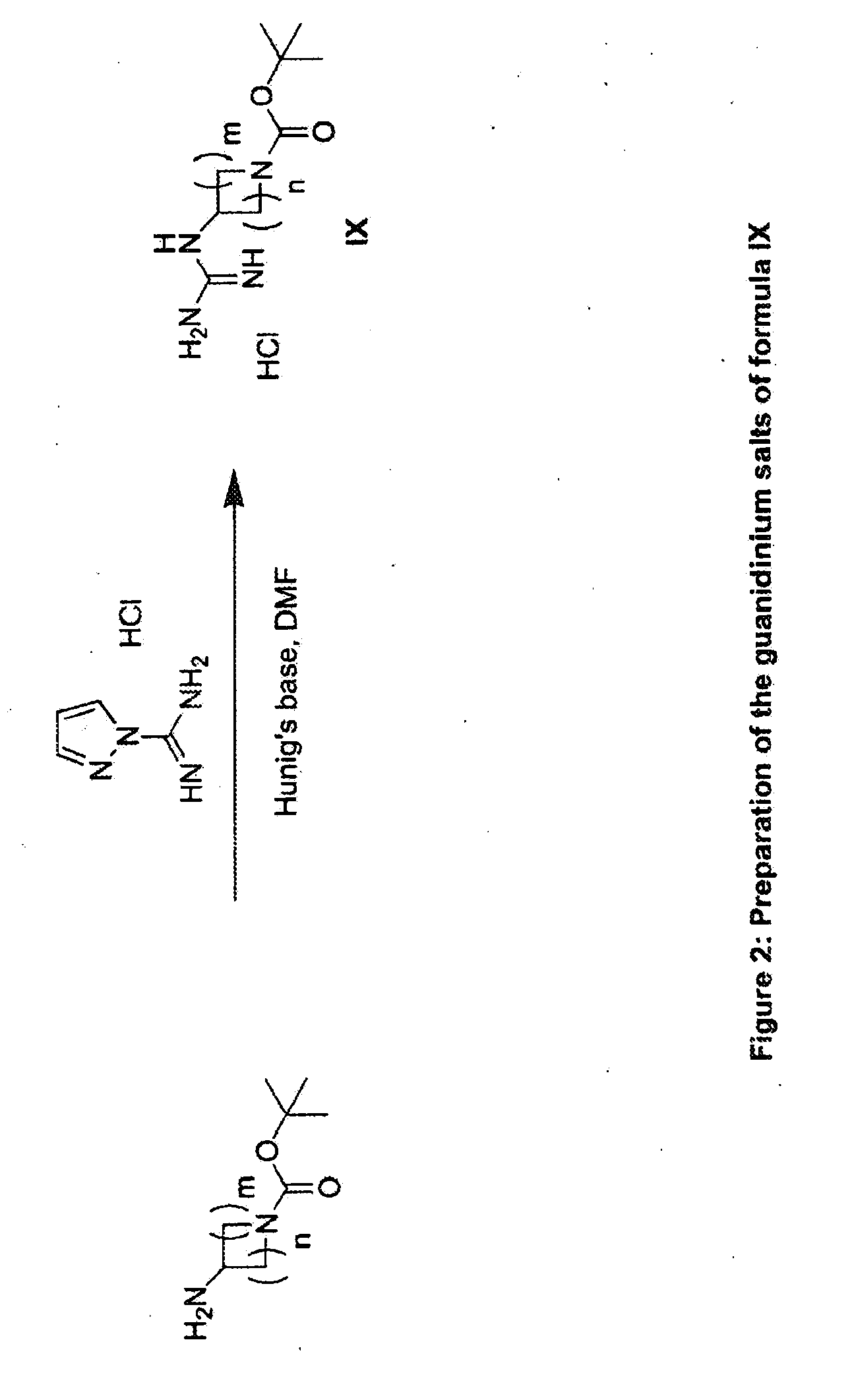 RAF Inhibitors and Uses Thereof
