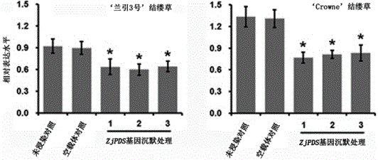 Method for suppressing Zoysia japonica endogenous gene expression efficiently and rapidly