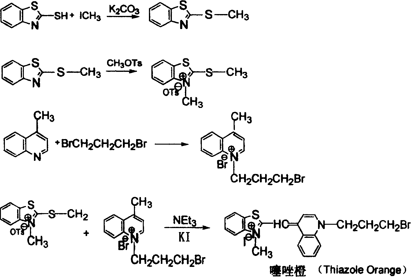 Solid phase synthesis process of thiazde orange cyanine dye