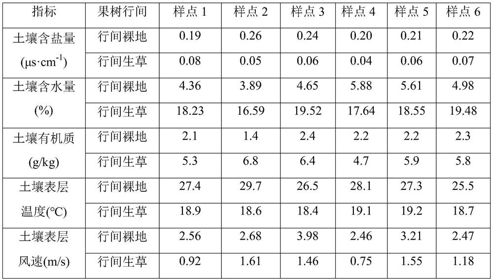 Construction method of apple tree II ryegrass compound system in sandy land in arid region