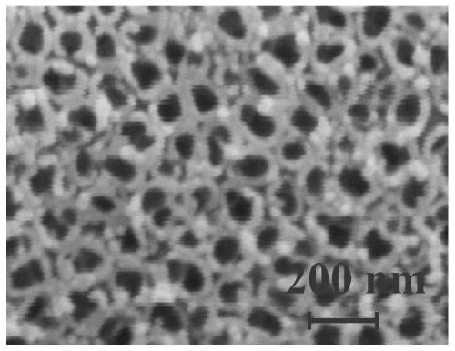 A kind of titanium dioxide nanotube array in-situ composite carbon quantum dot-titania nanomaterial and preparation method thereof