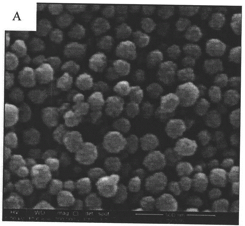 Magnetic MFe2O4/C/M' compound and preparation method thereof using aniline small organic molecules as a carbon source