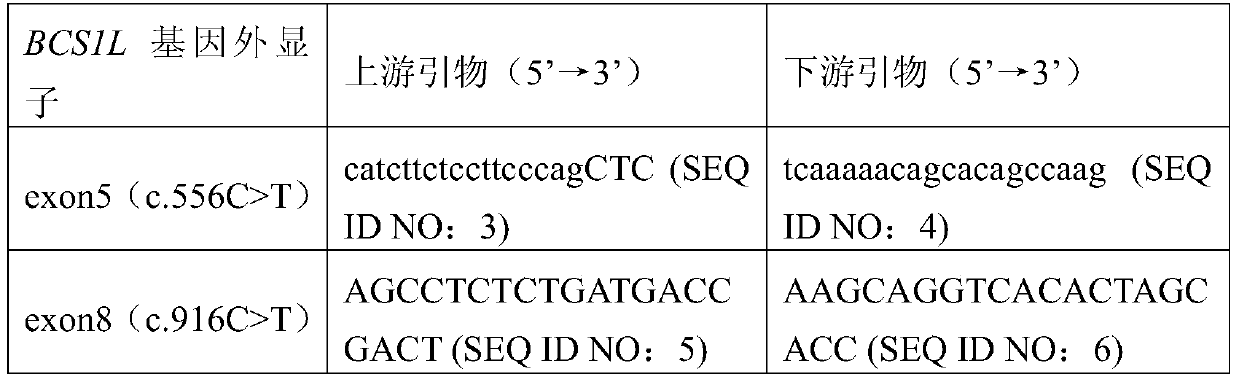 bcs1l gene mutant and its application