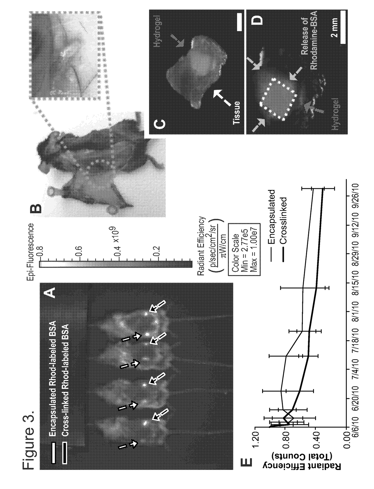 Injectable preformed macroscopic 3-dimensional scaffolds for minimally invasive administration