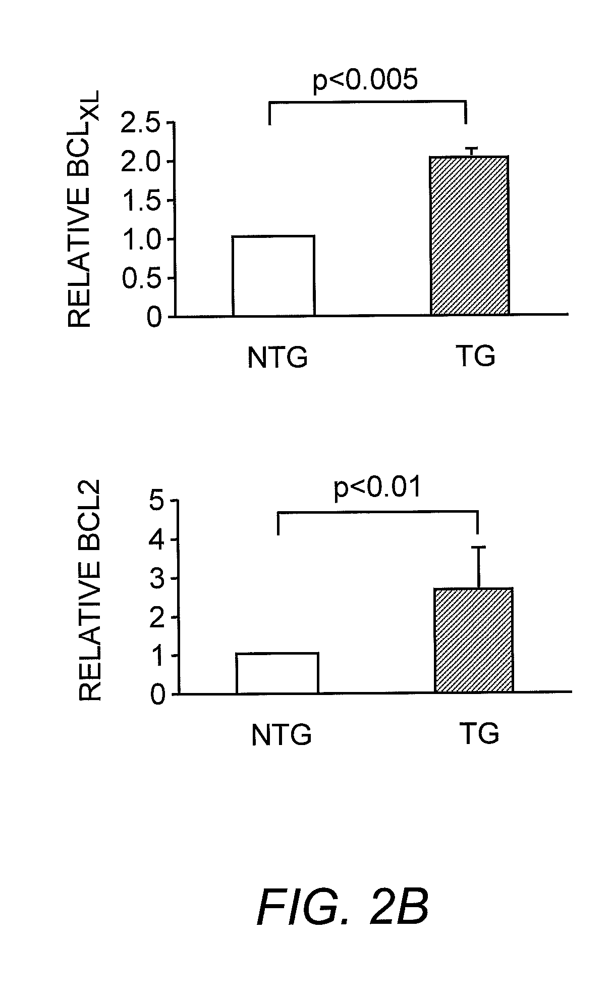 Transgenic animal and methods for decreasing cardiac cell death via cardiac-specific SIR2alpha overexpression