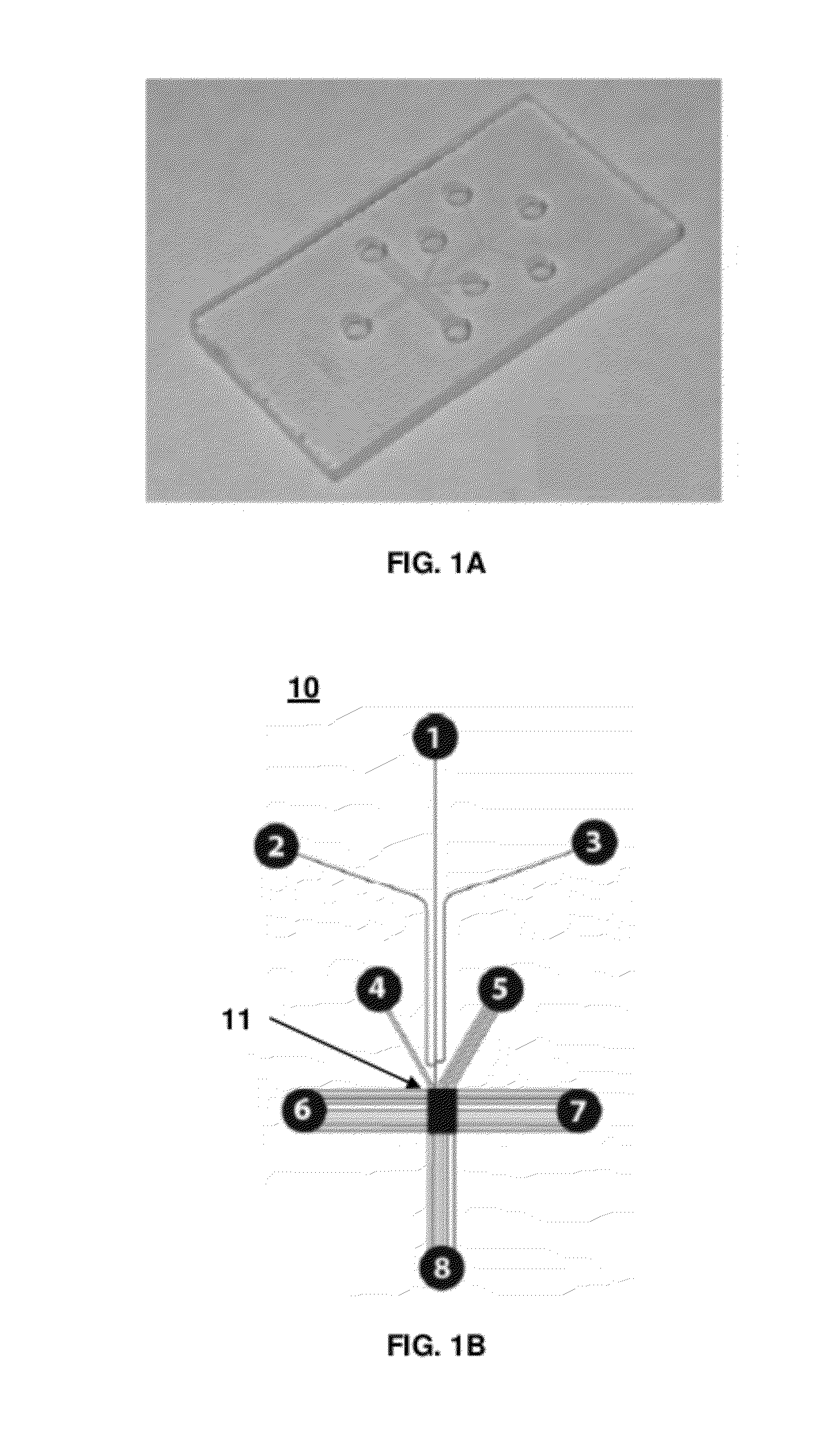 Multi-directional microfluidic devices comprising a pan-capture binding region and methods of using the same