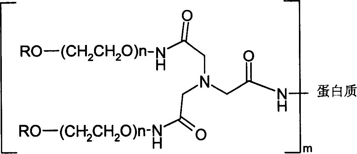 Composition of protein and double chain polyethylene glycol
