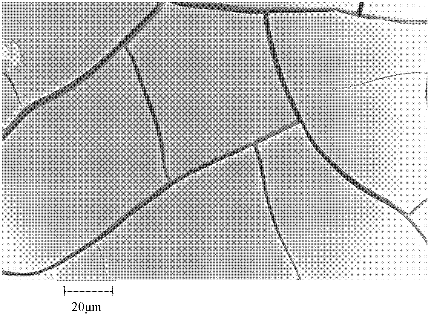 Brush-coat type phosphating solution containing rust and preparation method thereof