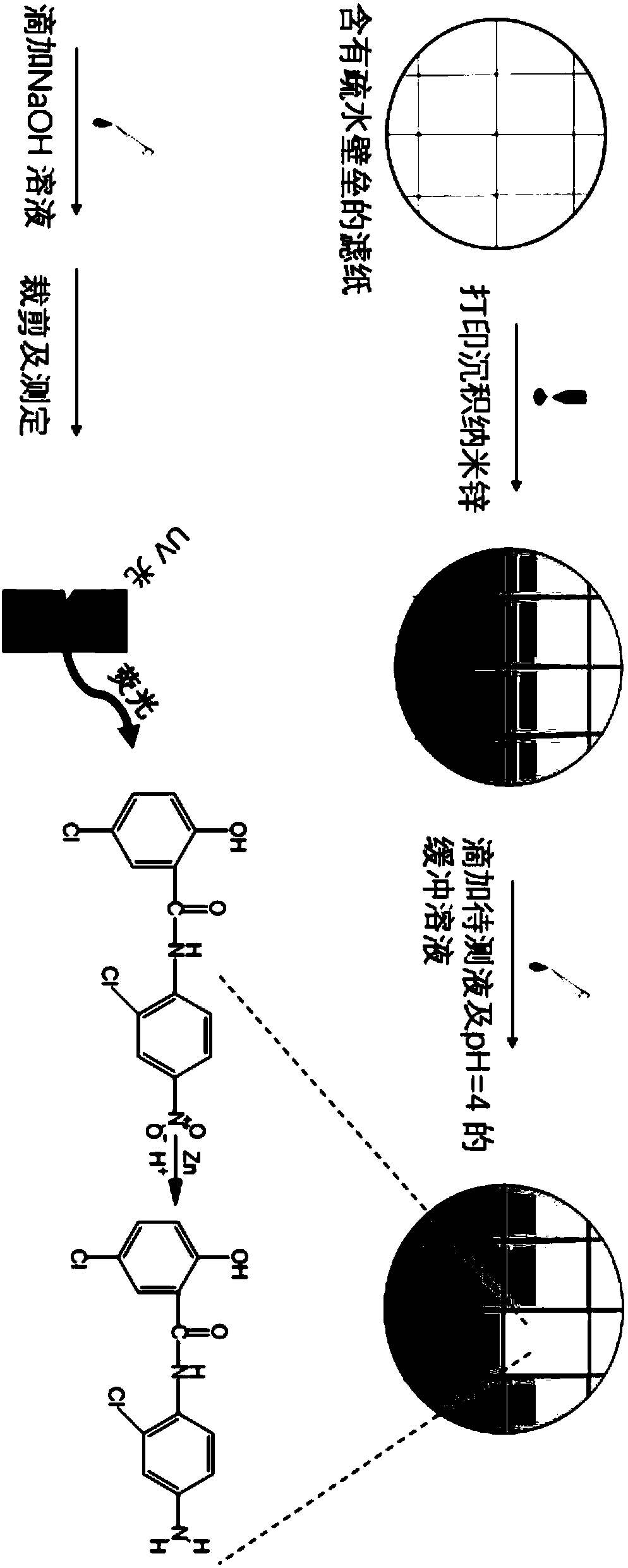 Fluorescent sensor and application thereof in determination of niclosamide