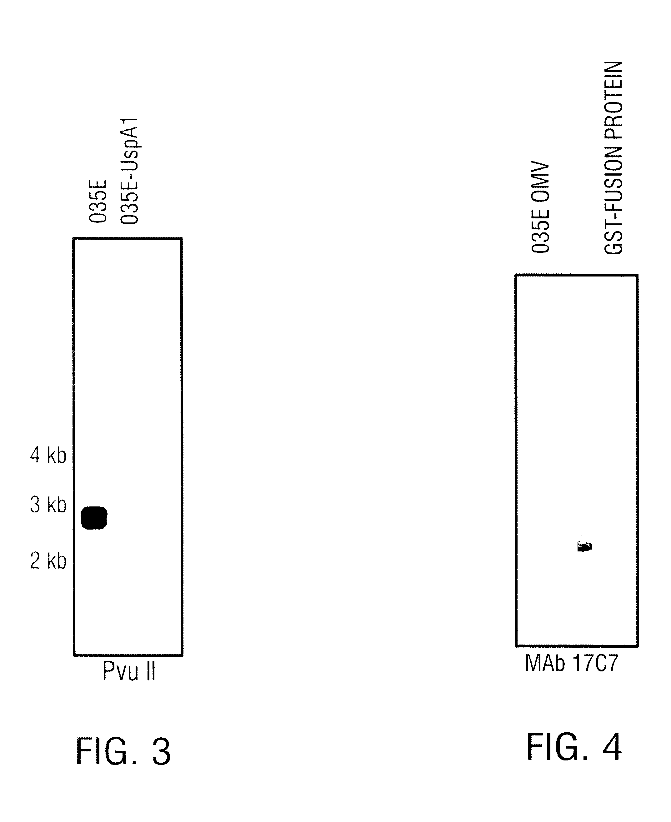 USPA1 and USPA2 antigens of Moraxella catarrhalis
