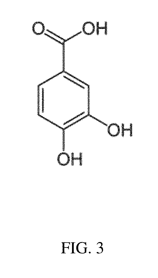 Antimicrobials and methods of use thereof