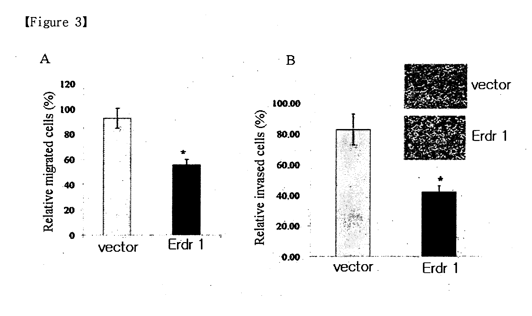 Novel use of erythroid differentiation regulator 1 as an agent for treating cancer