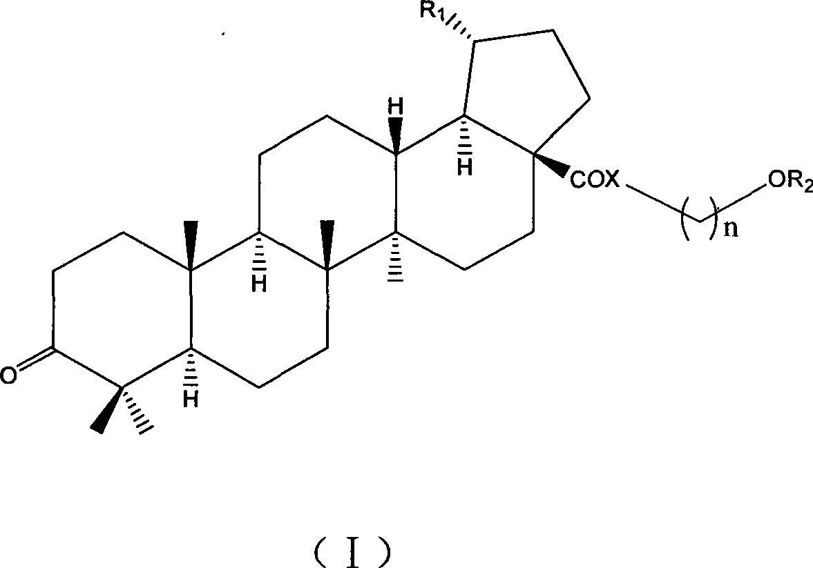 Betulinic acid analogue and preparation method and application thereof