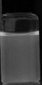 A kind of preparation method of water-soluble quaternary ammonium cationic fluorescent carbon dot