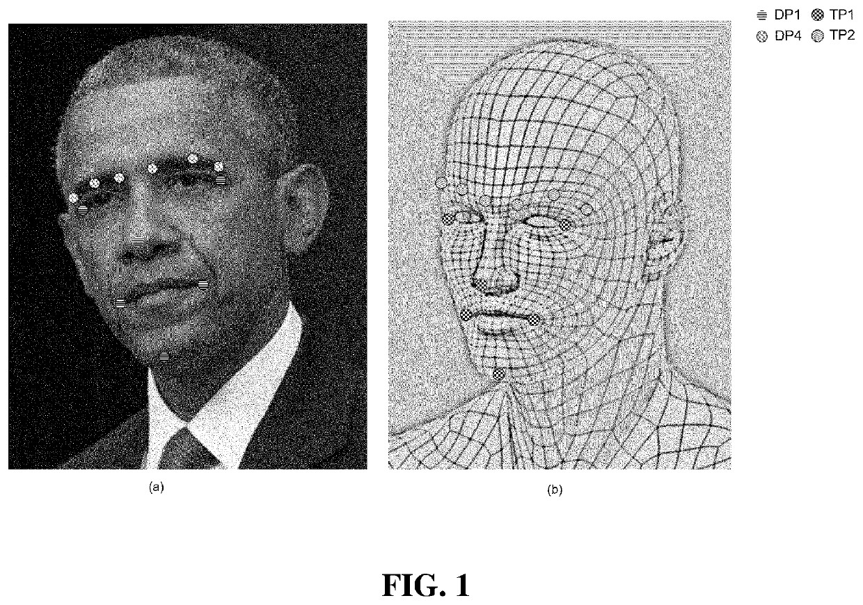Device for processing face feature point estimation image on basis of standard face model, and phusical computer-readable recording medium in which program for processing face feature point estimation image on basis of standard face medel is recorded