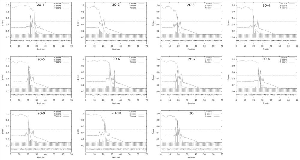 Selection method and application of signal peptide when expressing foreign protein with Chinese hamster ovary cells