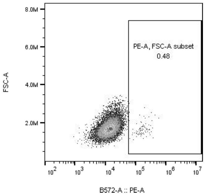 A fusion protein, recombinant vector, recombinant dendritic cell and application thereof for transmembrane expression of novel coronavirus antigen s2