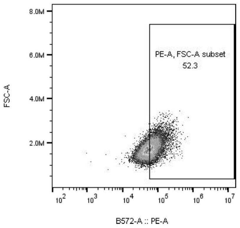 A fusion protein, recombinant vector, recombinant dendritic cell and application thereof for transmembrane expression of novel coronavirus antigen s2