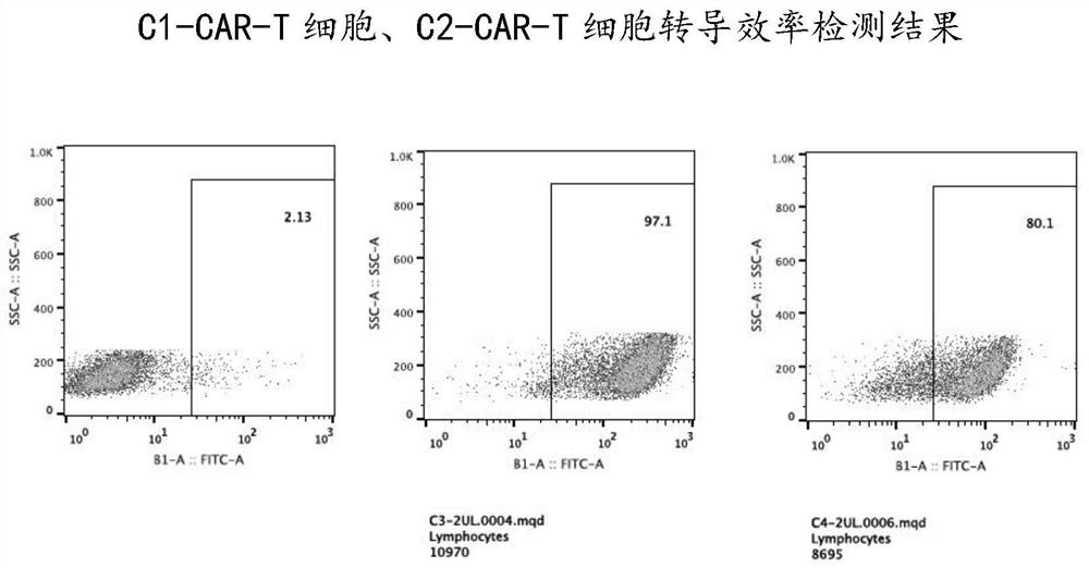 Application of chimeric antigen receptor taking CD99 as target in combination with anti-tumor drugs