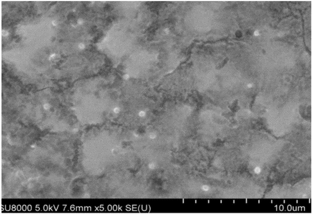 Ethylene glycol-based magnetic fluid composite film and preparation method thereof