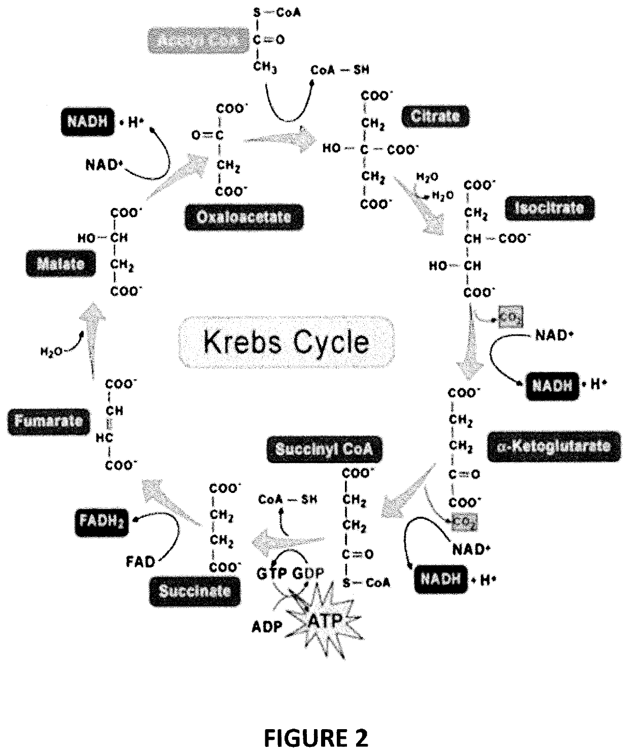 Bioavailable minerals for the mitigation of corona viruses (covid 19), manufacturing method and a treatment method