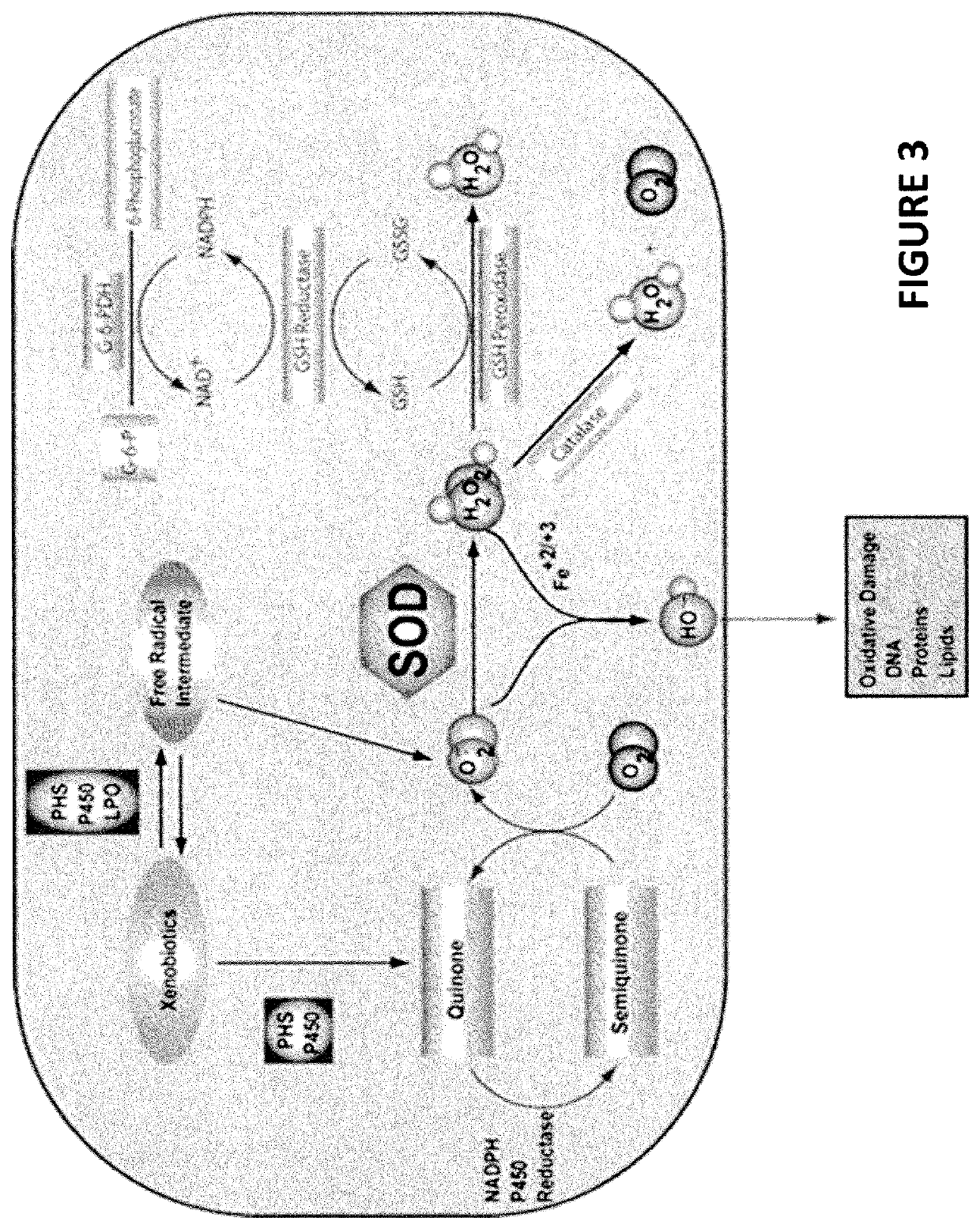 Bioavailable minerals for the mitigation of corona viruses (covid 19), manufacturing method and a treatment method