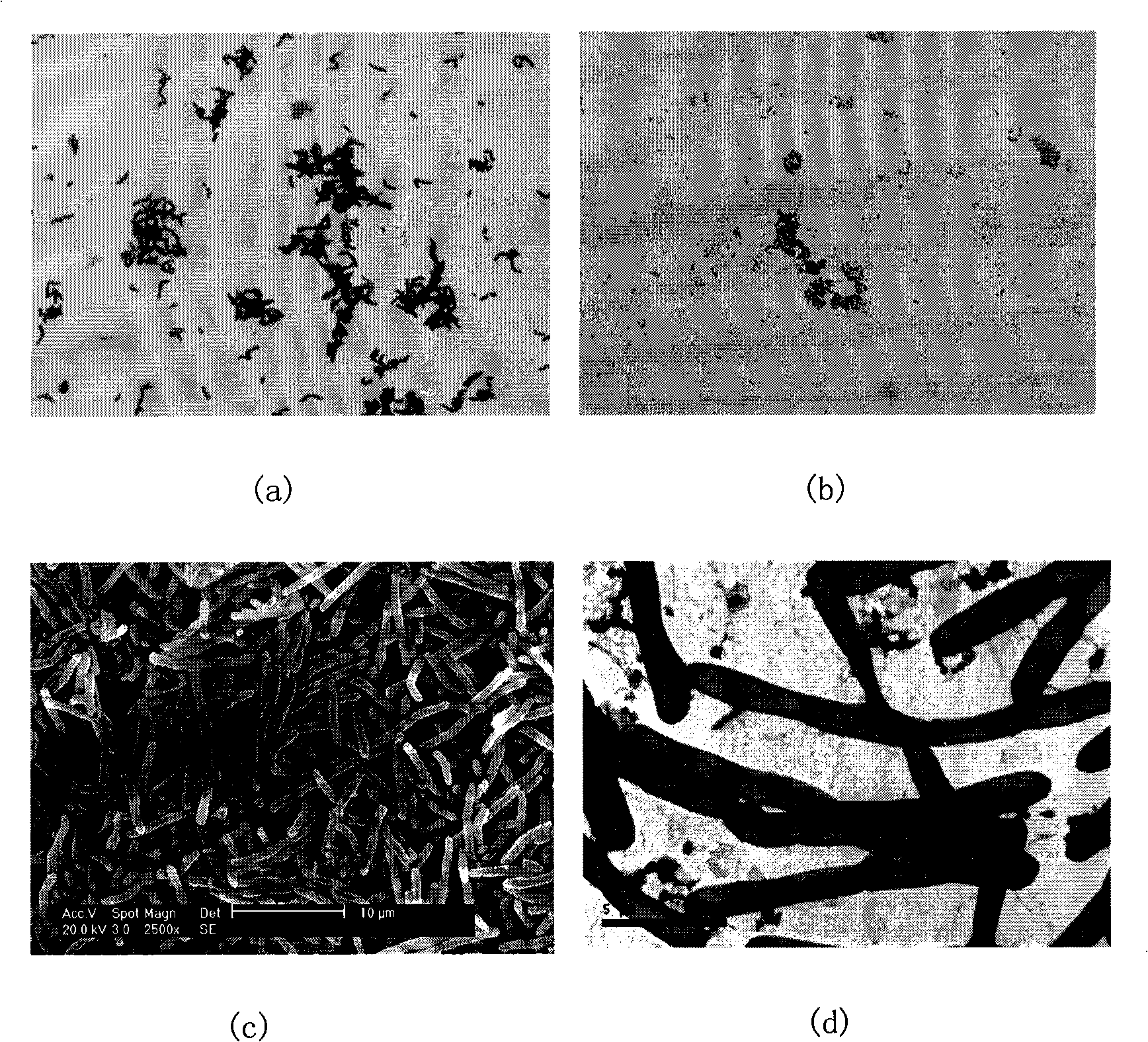 Bacillus amyloliquefaciens capable of degrading benzene compounds and application thereof