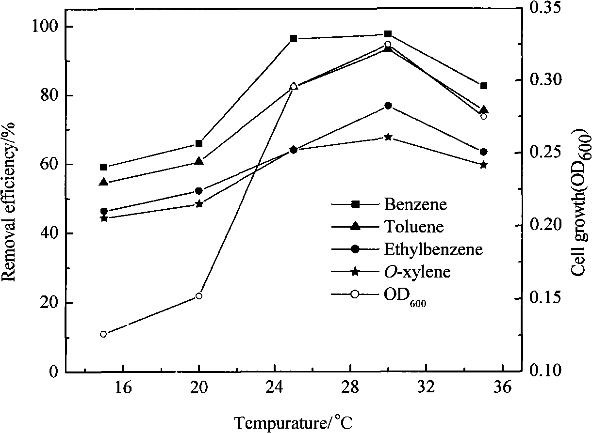 Bacillus amyloliquefaciens capable of degrading benzene compounds and application thereof