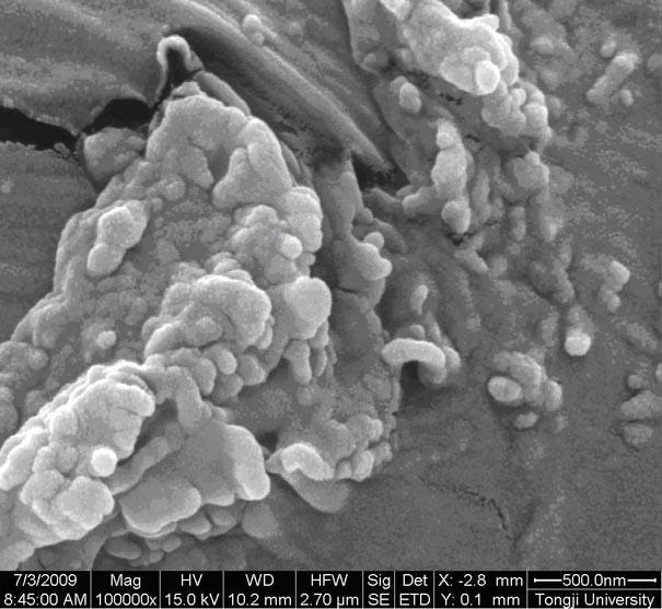 Paclitaxel nano liposomes of dual targeting tumor and method for preparing paclitaxel nano liposomes