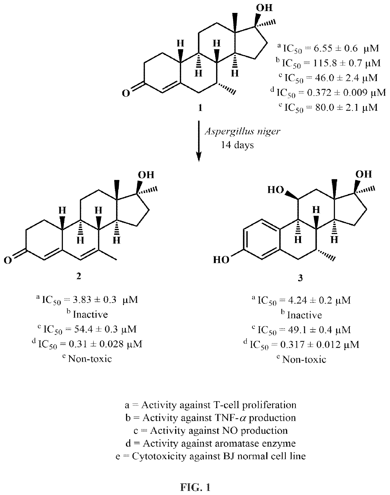Synthesis of Anti-inflammatory and Anti-cancer Agents through Fungal Transformation of Mibolerone