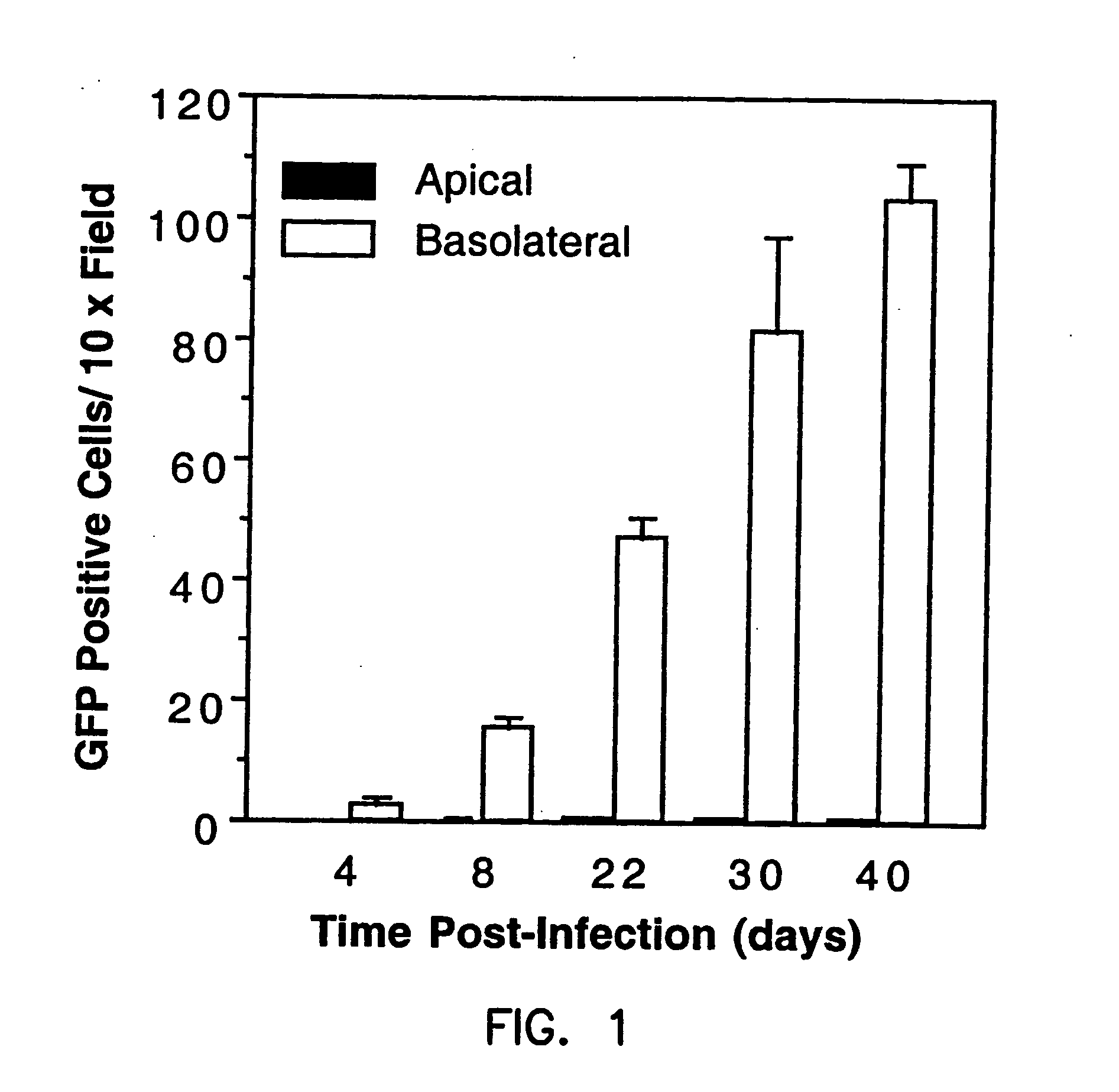 Compounds and methods to enhance rAAV transduction
