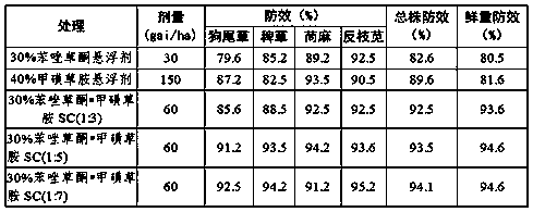 Herbicide composition with topramezone and sulfentrazone applicable to corn fields