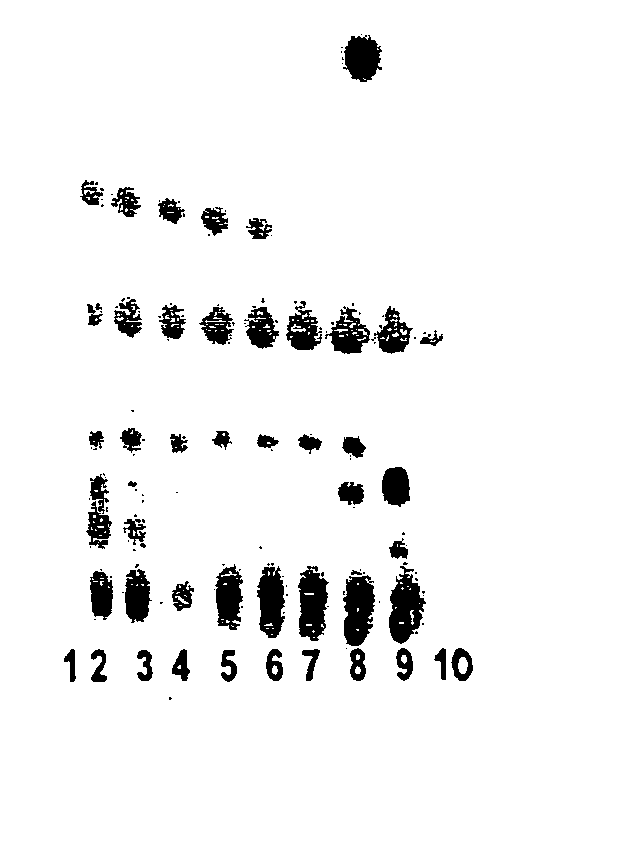 Process for isolation of withaferin-A from plant materials and products therefrom