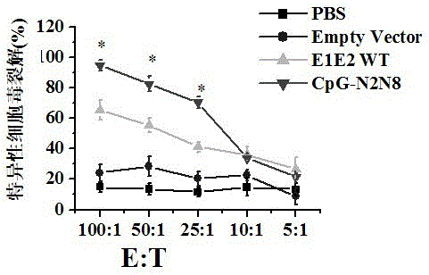 DNA (Deoxyribose Nucleic Acid) vaccine of HCV (Hepatitis C Virus) and preparation method thereof