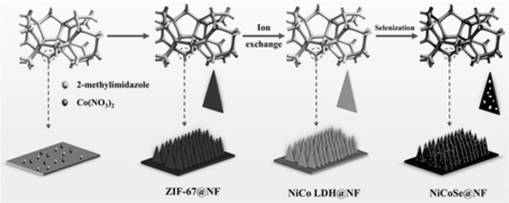 Preparation method of nanosheet array electrocatalyst