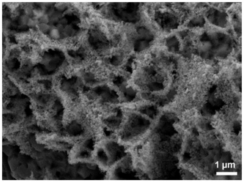 Preparation method of nanosheet array electrocatalyst