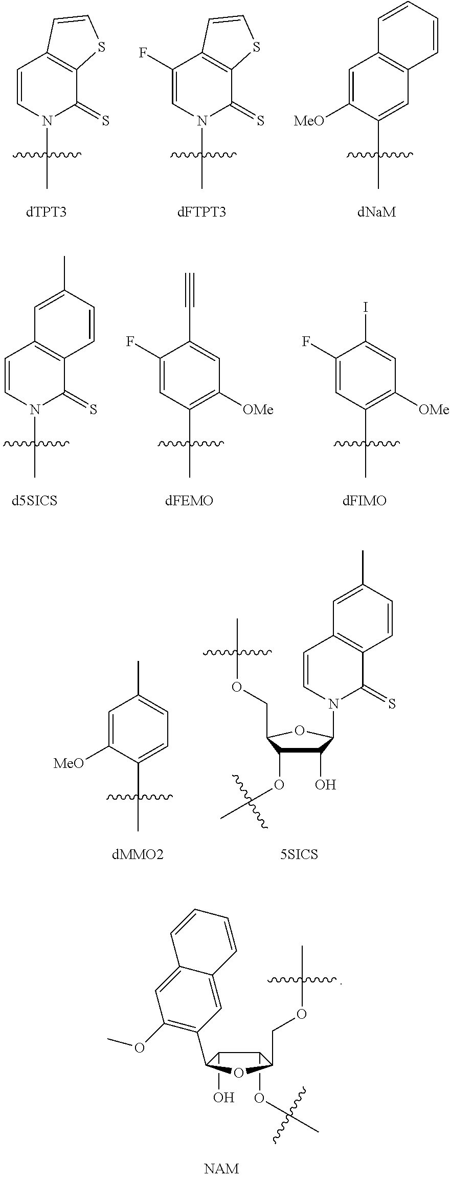 Incorporation of unnatural nucleotides and methods thereof