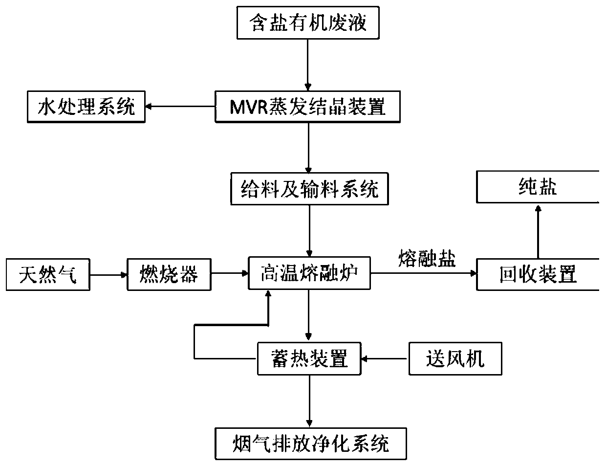 Combined apparatus and combined technology for salt-containing organic waste liquid treatment