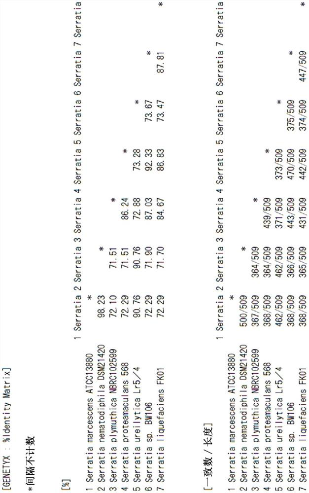 Genetically modified microorganism for producing 3-hydroxyhexanedioic acid, (E)-hex-2-enedioic acid and/or hexanedioic acid, and production method for the chemicals