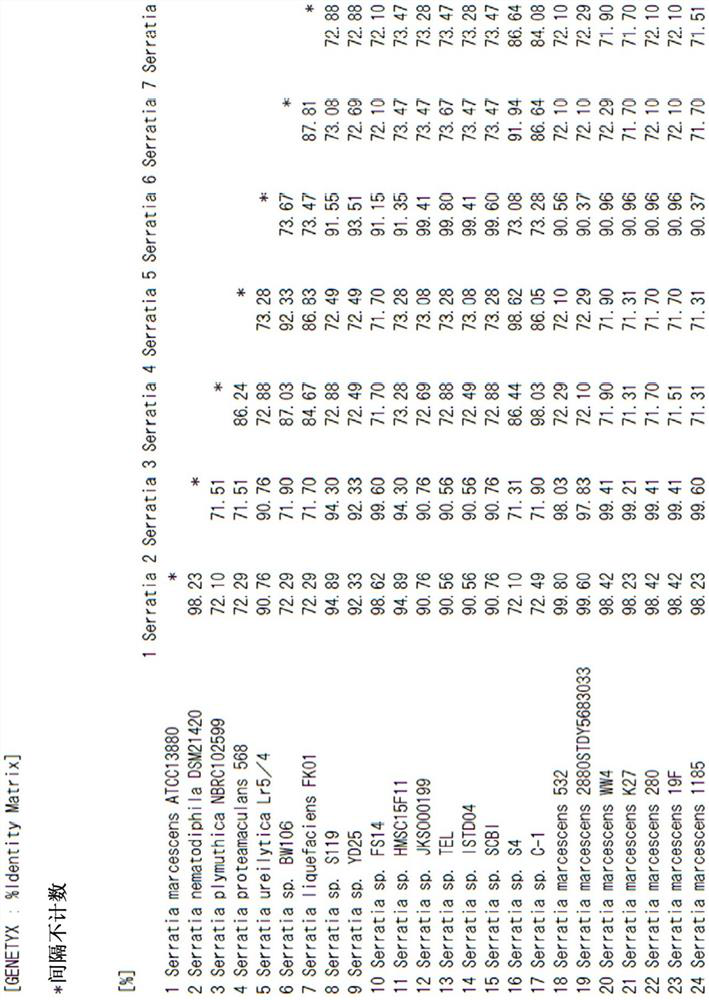 Genetically modified microorganism for producing 3-hydroxyhexanedioic acid, (E)-hex-2-enedioic acid and/or hexanedioic acid, and production method for the chemicals