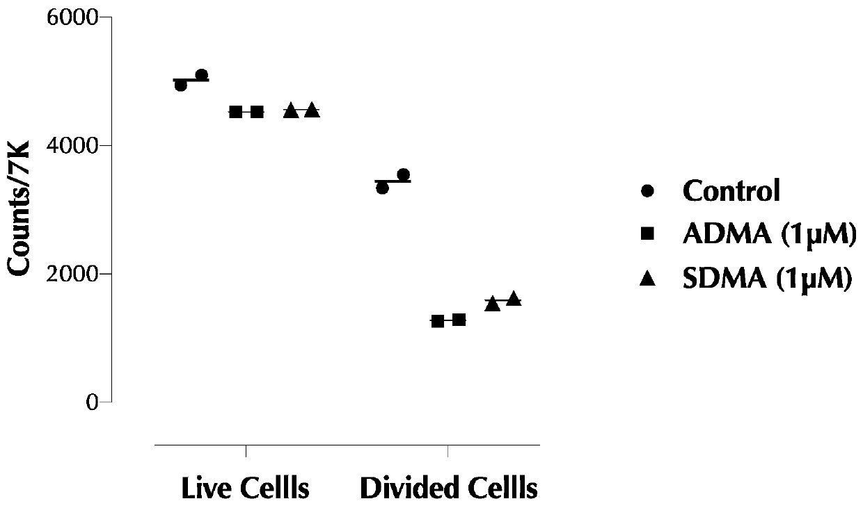 Application of dimethylarginine and derivatives thereof in inhibition of T and B cell proliferation