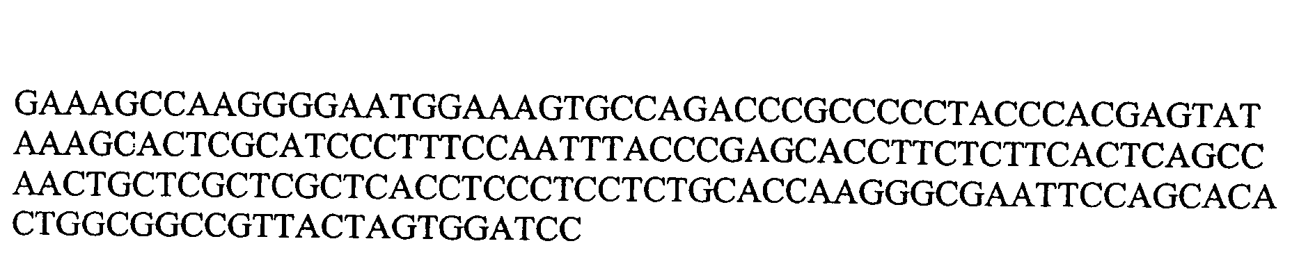 Vectors for stable gene expression