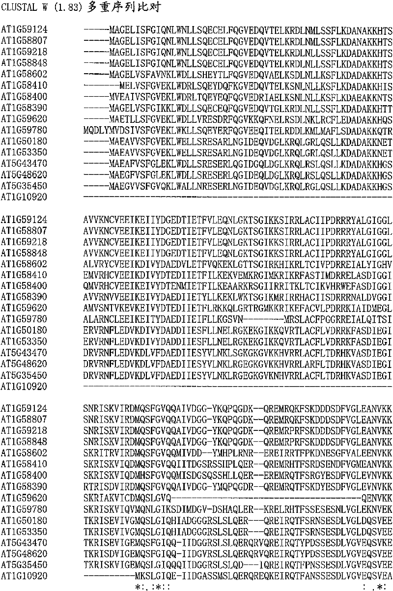 Gene capable of increasing amount of plant biomass, and method for utilizing same