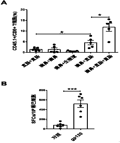 Method for inducing formation and proliferation of mucosal tissue resident memory T cells