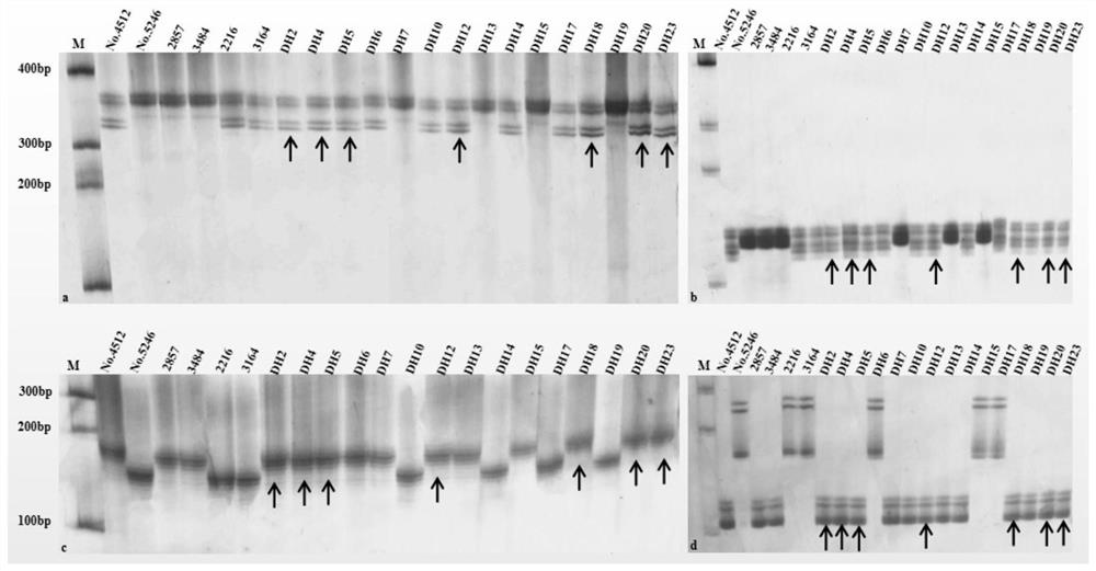 A Breeding Method for Quickly Establishing Early Flowering Resources of Brassica napus