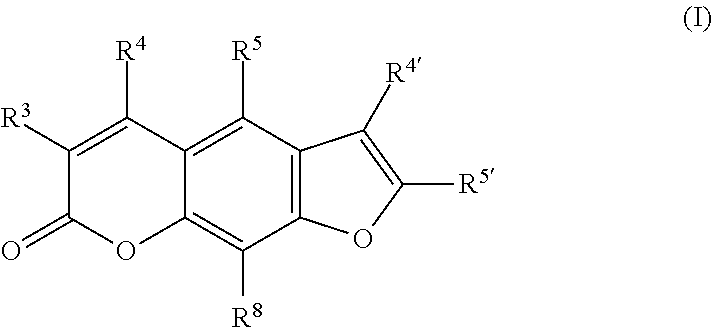 Cells for chromatin immunoprecipitation and methods for making