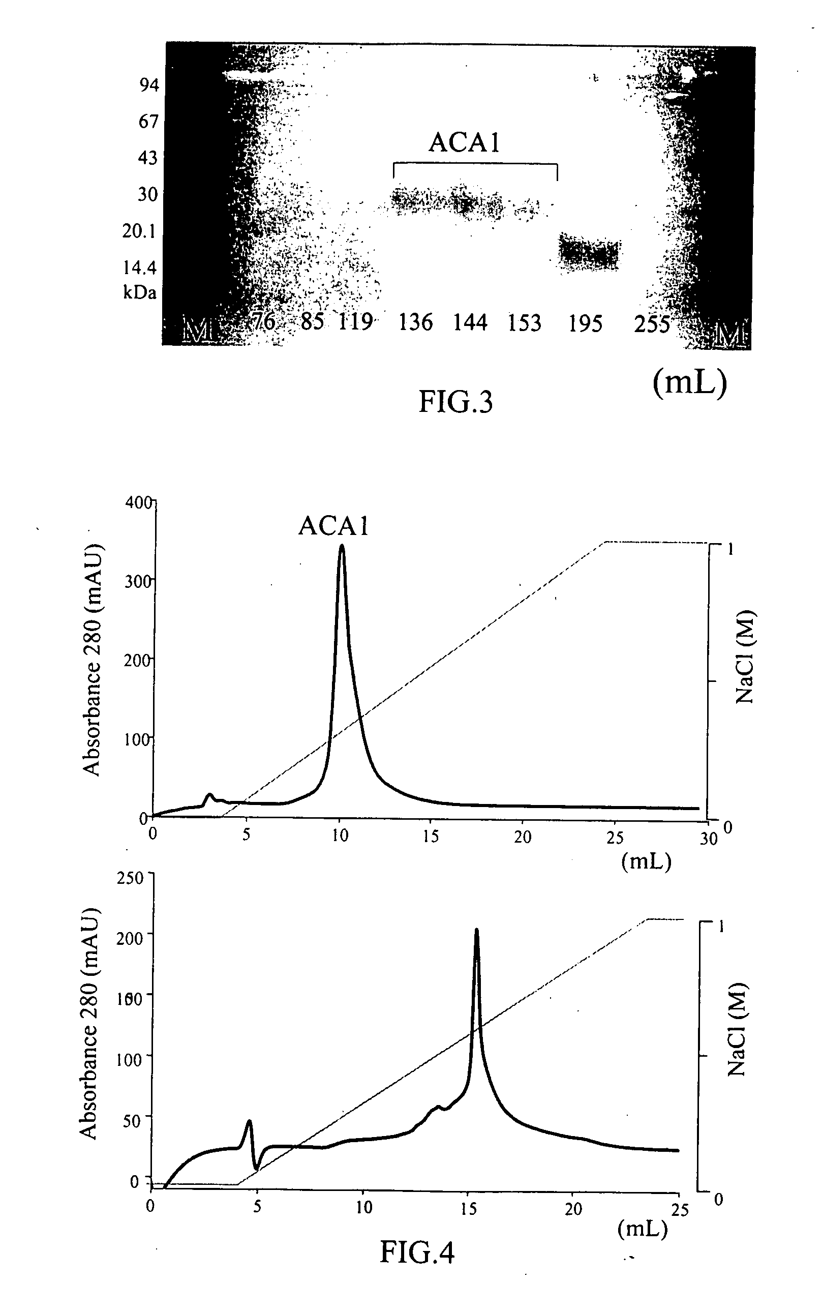 Protein ACA1 of antrodia camphorata