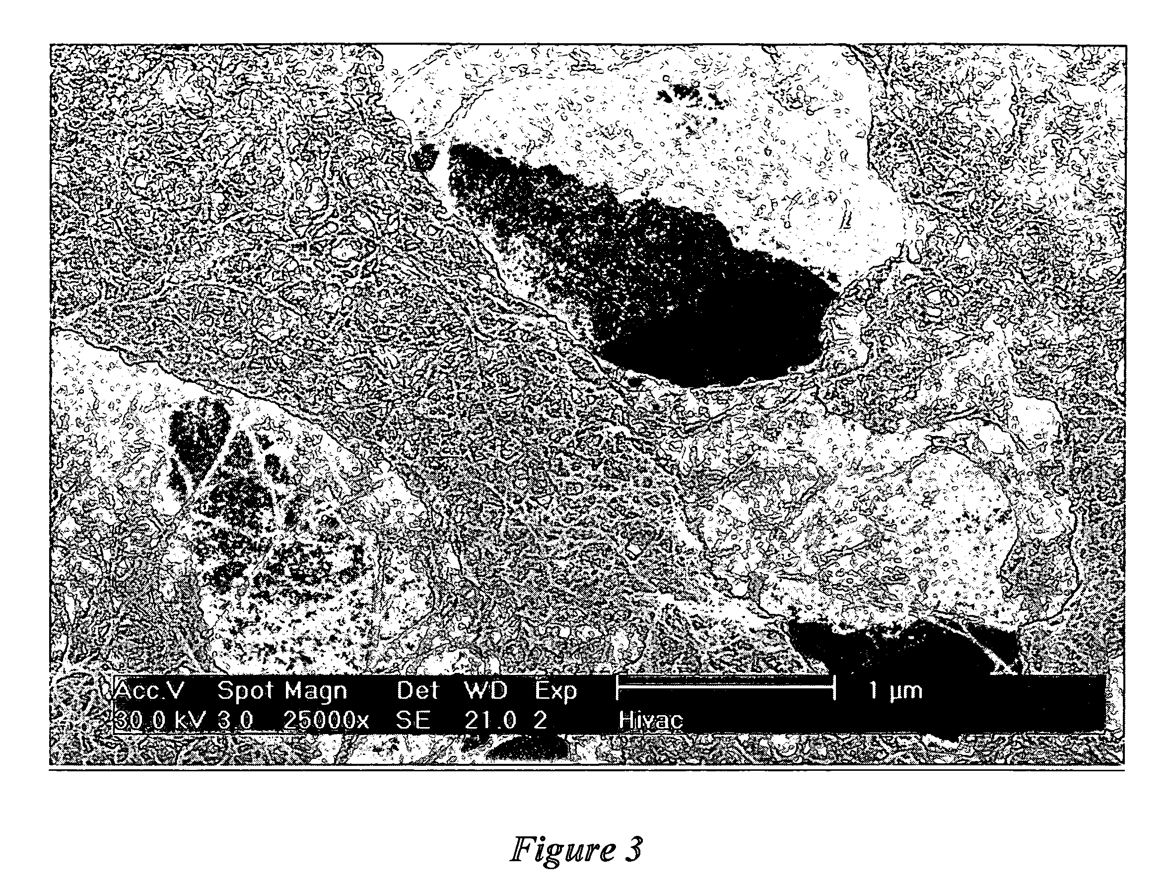 Carbon nanotube particulates, compositions and use thereof