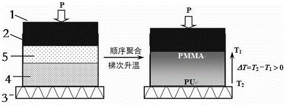 Production method of high-transparency PMMA-PU gradient composite plate