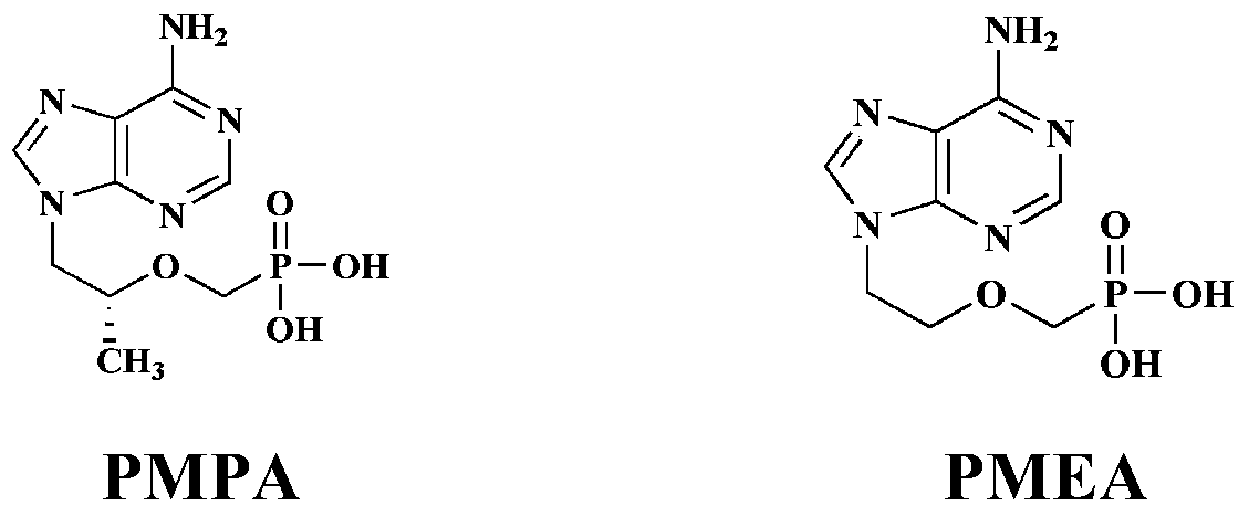 Nucleotide phosphonate compound, its pharmaceutical composition, preparation method and use